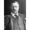 Theodore Roosevelt beszéde és a jogosítványod